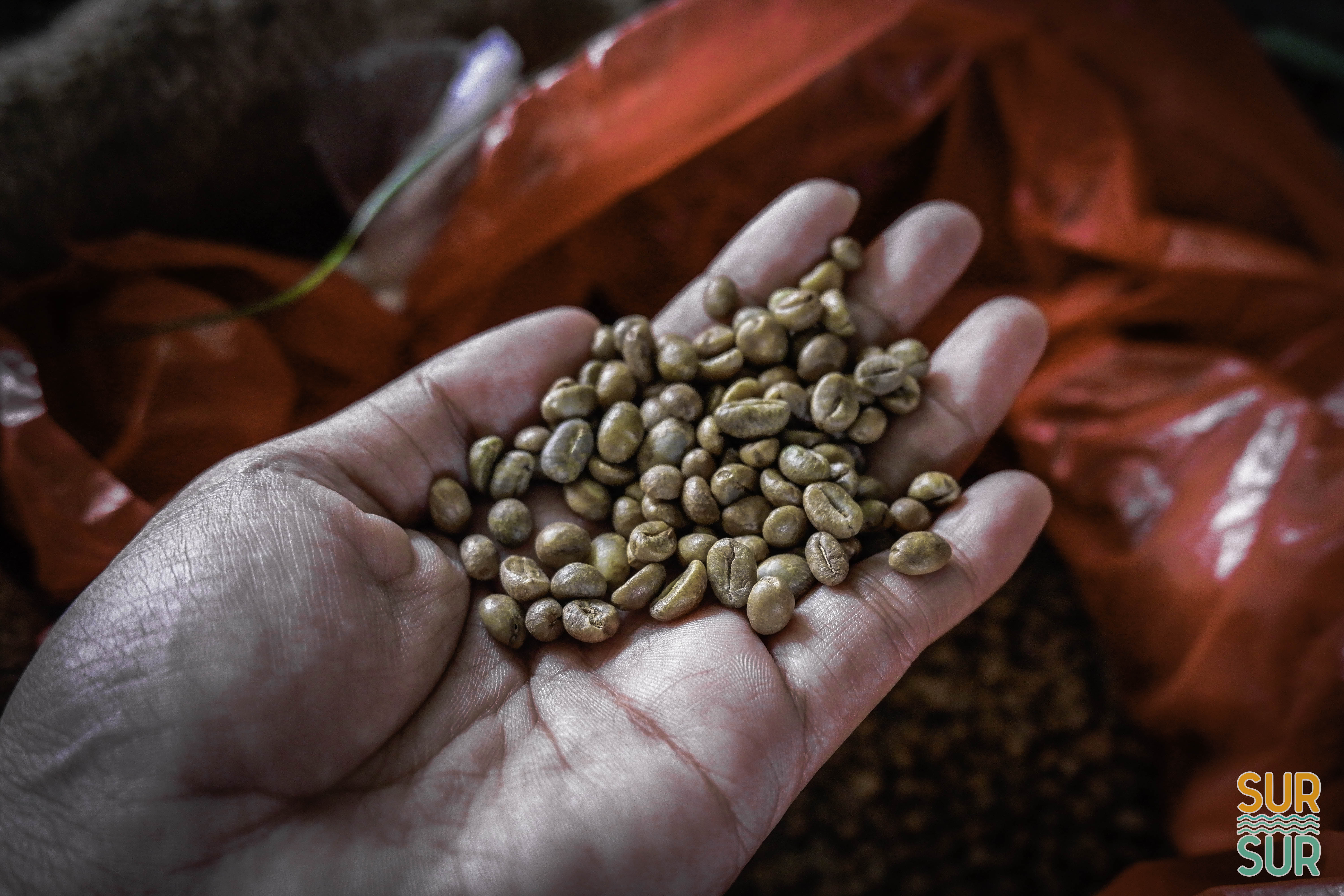 <b class="font-bara"><i class="bi bi-geo-fill h4"></i> COFFEE FESTIVAL</b> <br/>First ever coffee festival in Surigao del Sur.